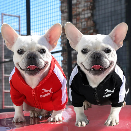 Dog And Cat Sweatshirts Customizable
