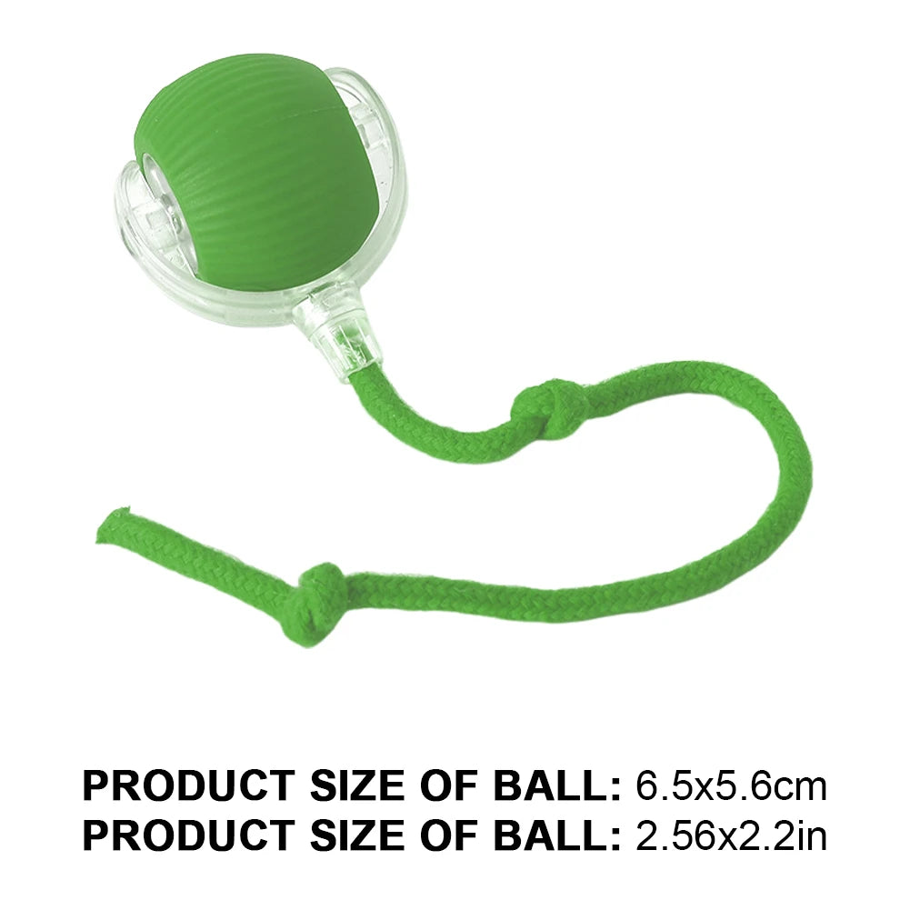 Caterpillar Teasing Cat Toy Motion Activated