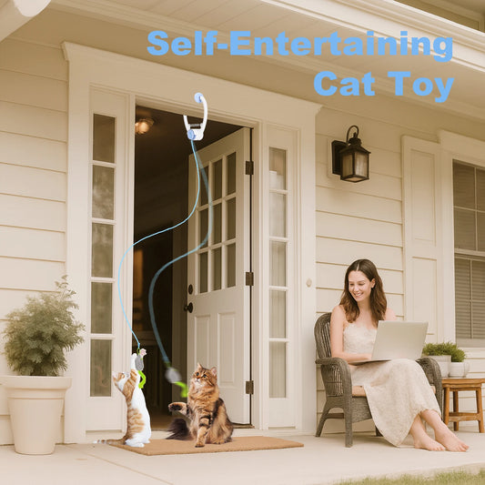 Electric Door Hanging Toy