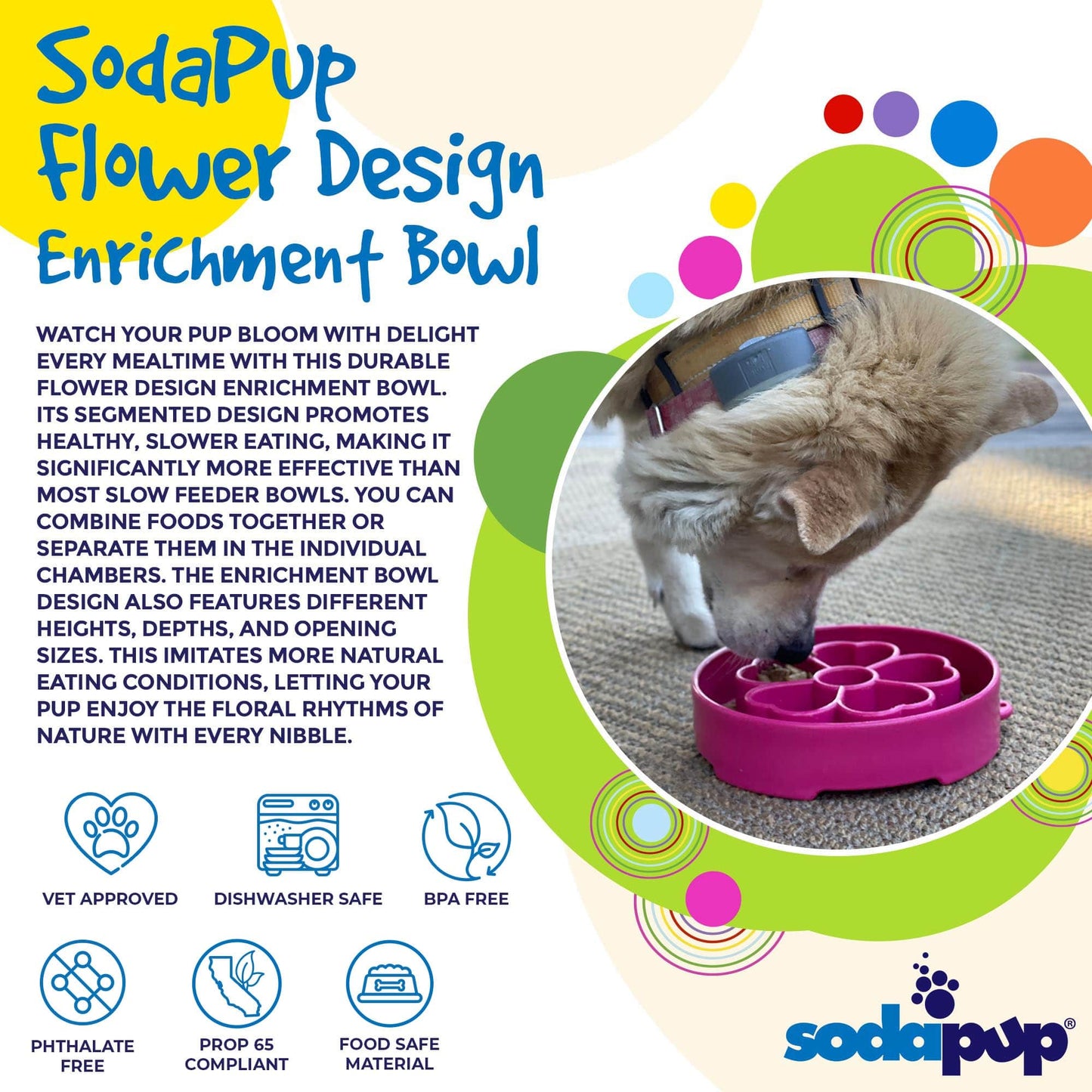 Slow Feeder Dog Bowl for Enrichment