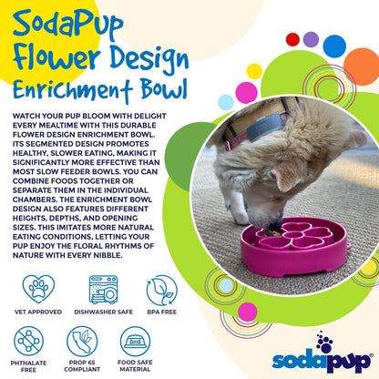 Slow Feeder Dog Bowl for Enrichment