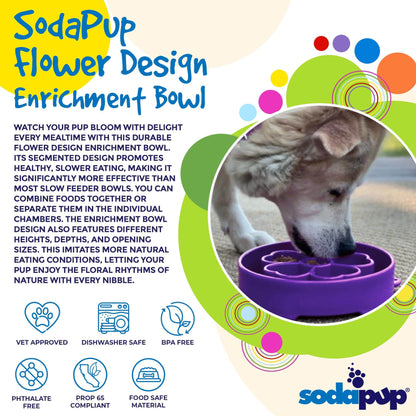 Slow Feeder Dog Bowl for Enrichment