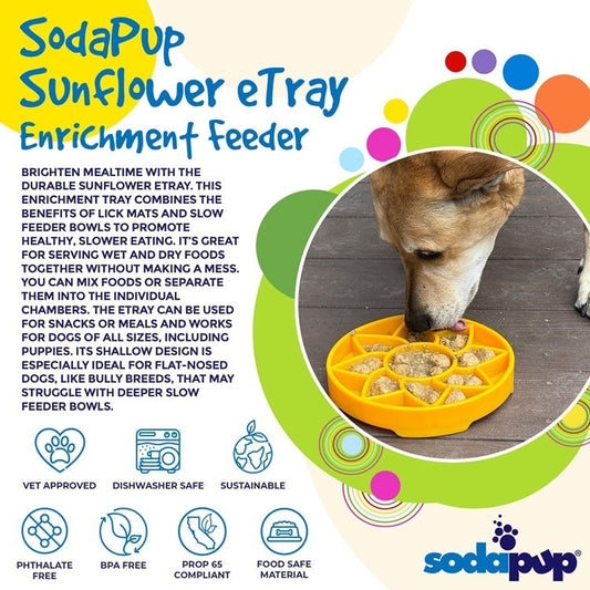 Sunflower Shallow Slow Feeder Dog Bowl
