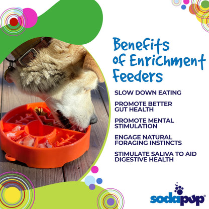 Great Outdoors Slow Feeder Dog Bowl