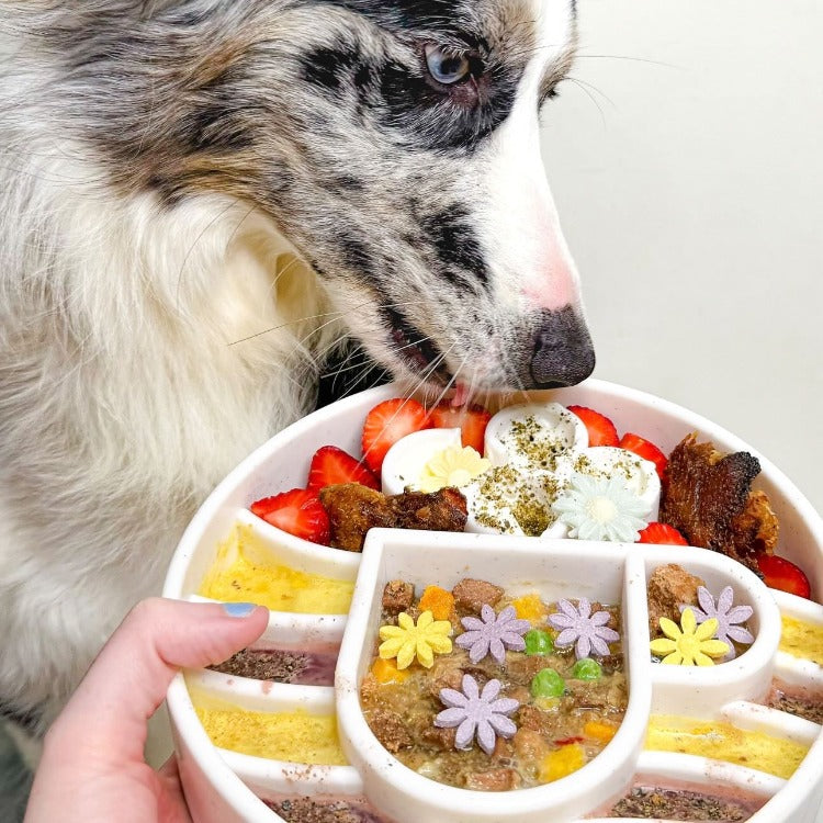 Java Deep Slow Feeder Dog Bowl
