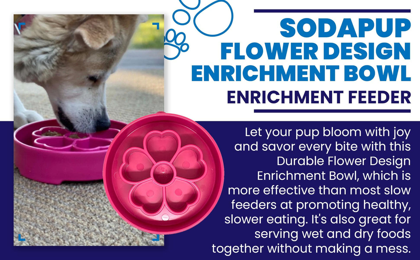 Slow Feeder Dog Bowl for Enrichment