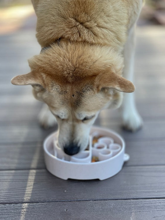 Java Deep Slow Feeder Dog Bowl