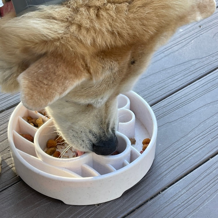 Java Deep Slow Feeder Dog Bowl