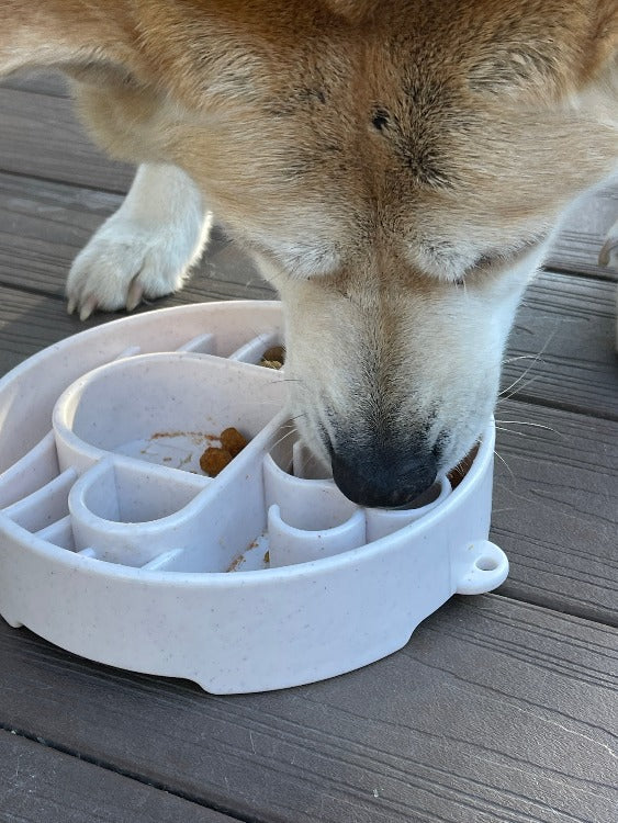 Java Deep Slow Feeder Dog Bowl