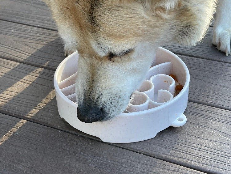 Java Deep Slow Feeder Dog Bowl