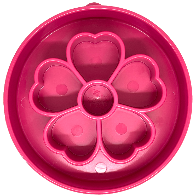 Slow Feeder Dog Bowl for Enrichment