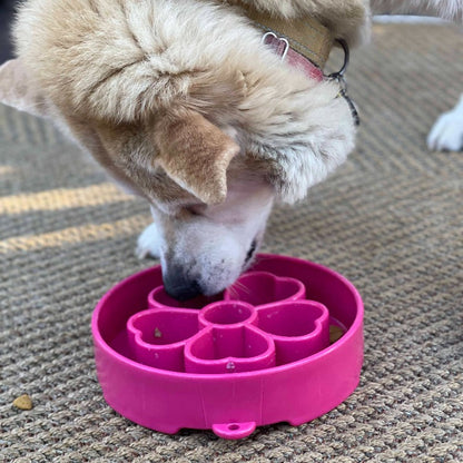 Slow Feeder Dog Bowl for Enrichment