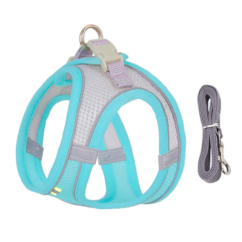 Harness Leash Set for Small Dogs