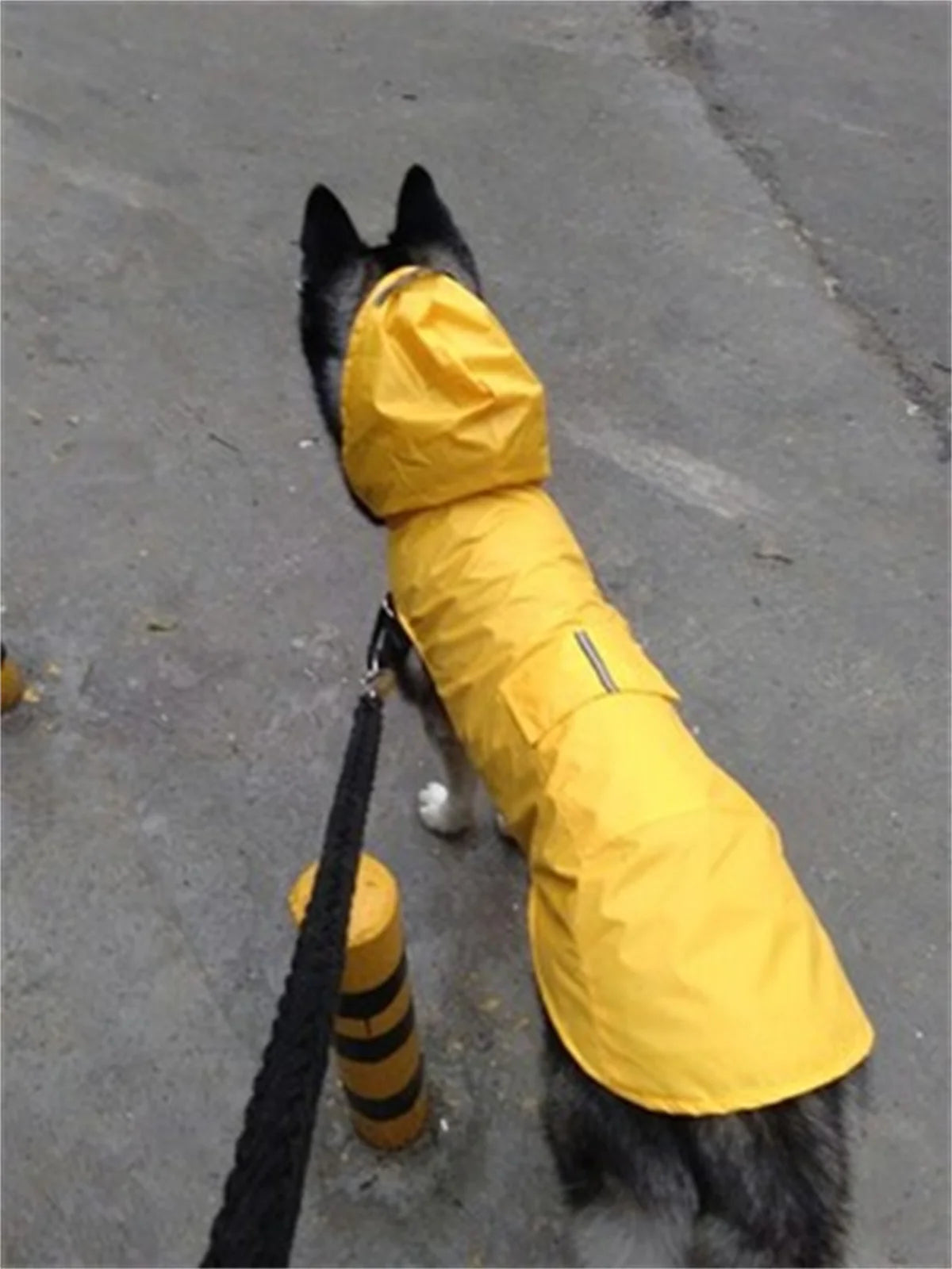 Reflective Waterproof Dog Raincoat