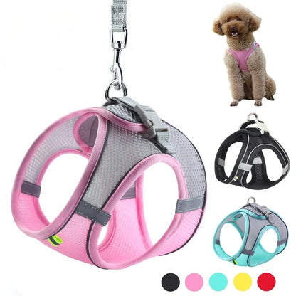 Harness Leash Set for Small Dogs