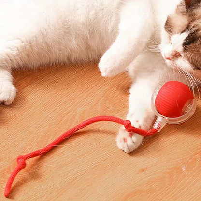 Automatic Interactive Cat Ball Toy