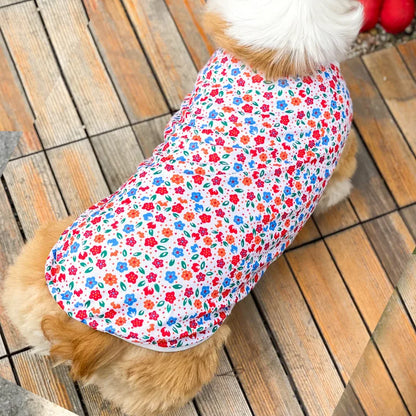 Cute Summer Dog Cooling Vest