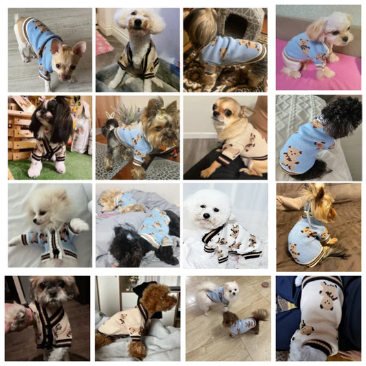 Luxury Dog Clothes Pet Striped Cardigan Sweater