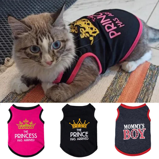 Summer Cotton Sphynx Cat T Shirt