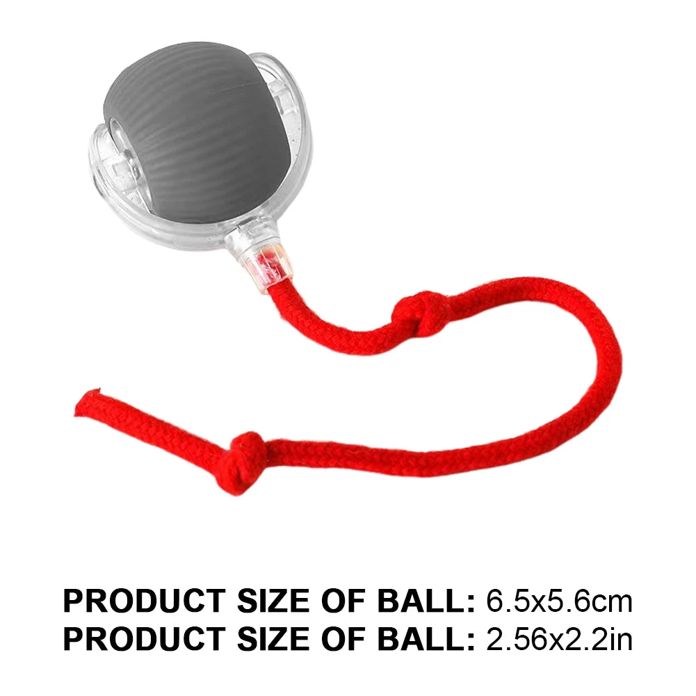 Caterpillar Teasing Cat Toy Motion Activated