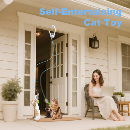Electric Door Hanging Toy