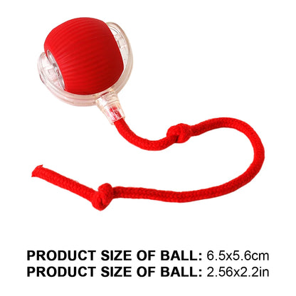 Caterpillar Teasing Cat Toy Motion Activated