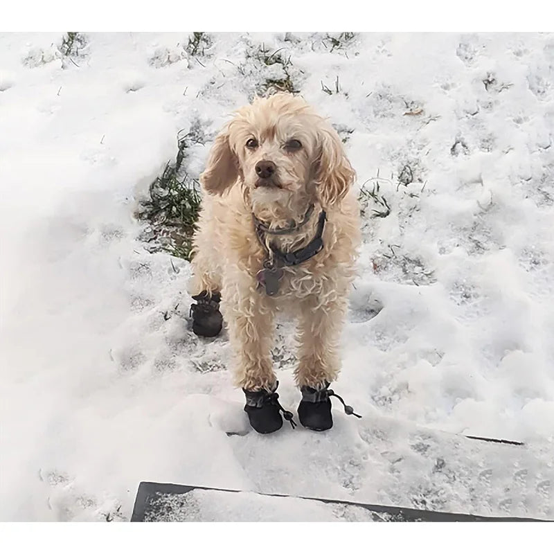 4Pcs Waterproof Dog Boots for Small Dogs