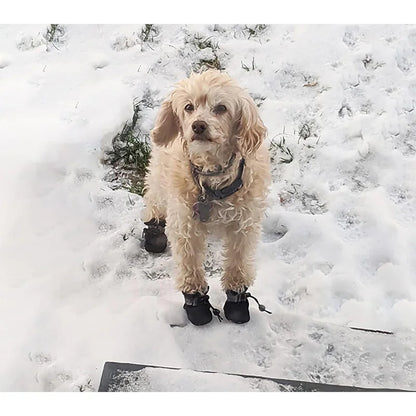 4Pcs Waterproof Dog Boots for Small Dogs