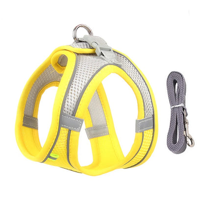 Harness Leash Set for Small Dogs
