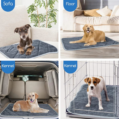 Self Heating Pet Pad