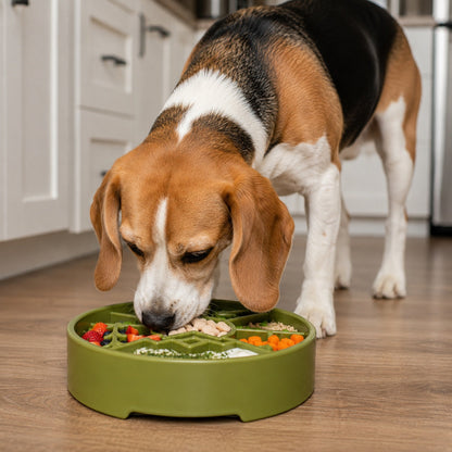 Great Outdoors Slow Feeder Dog Bowl