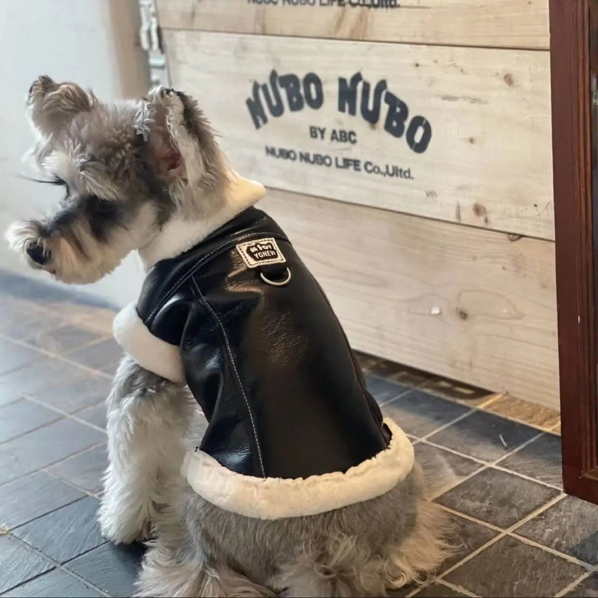 Padded Coat Solid-Color Dog Clothes