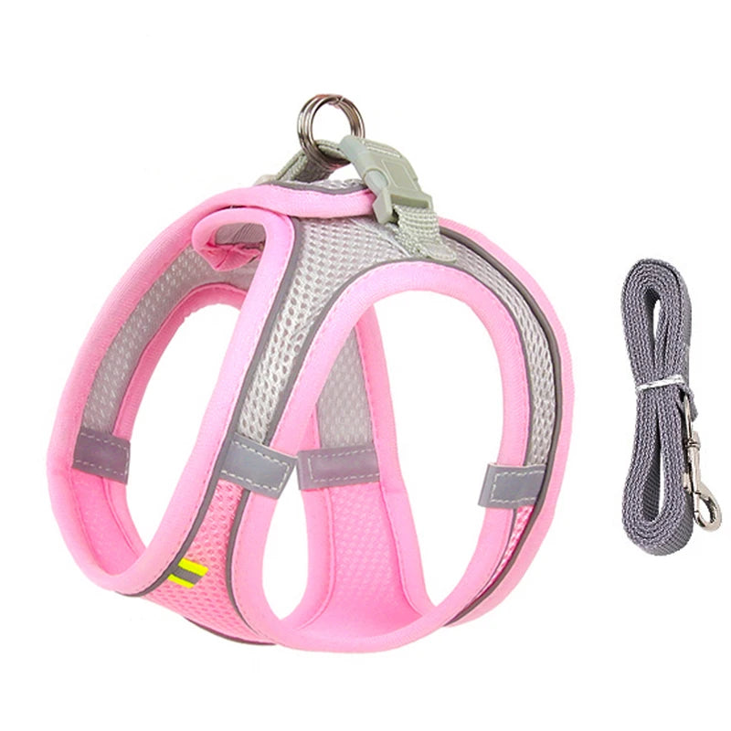 Harness Leash Set for Small Dogs