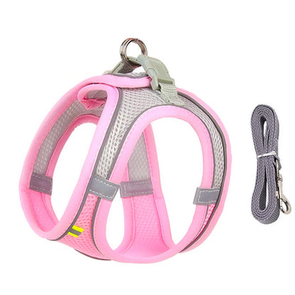 Harness Leash Set for Small Dogs