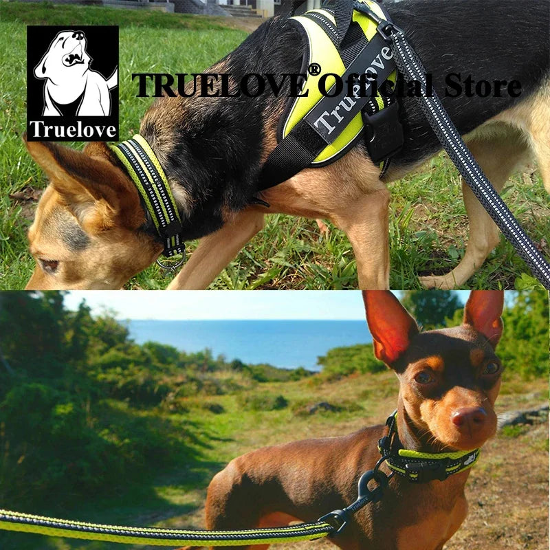 Truelove Pet Collar Nylon Adjustable