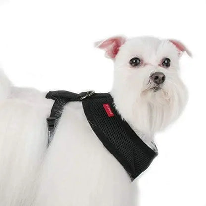 Soft Puppia Dog Harness