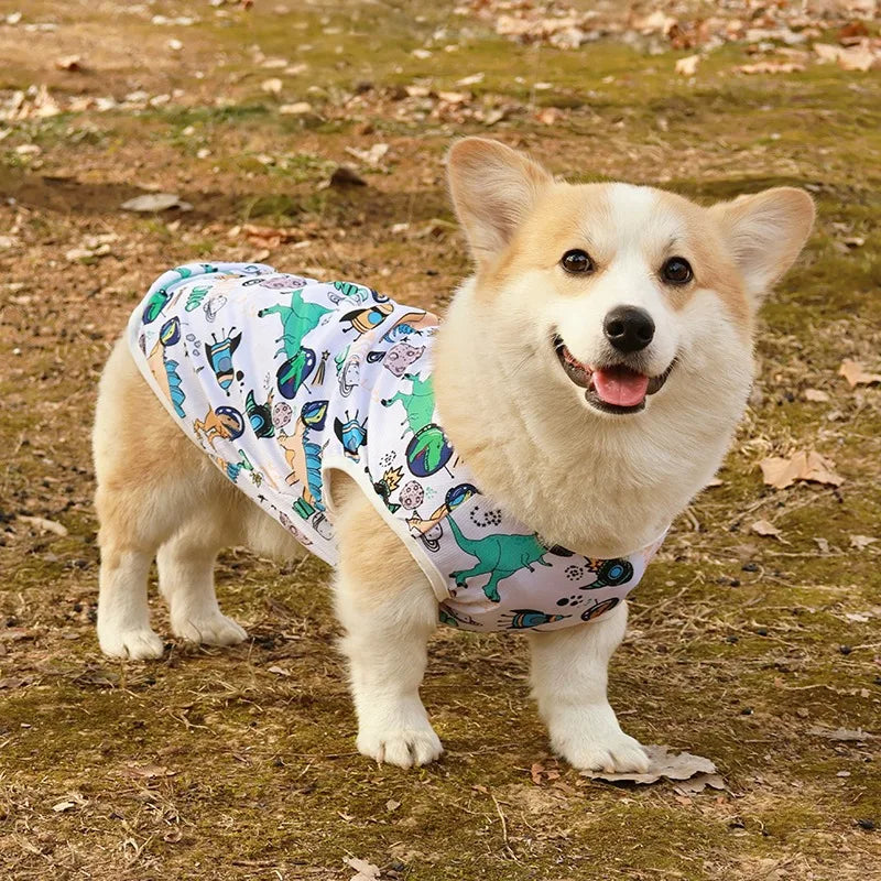 Cute Summer Dog Cooling Vest