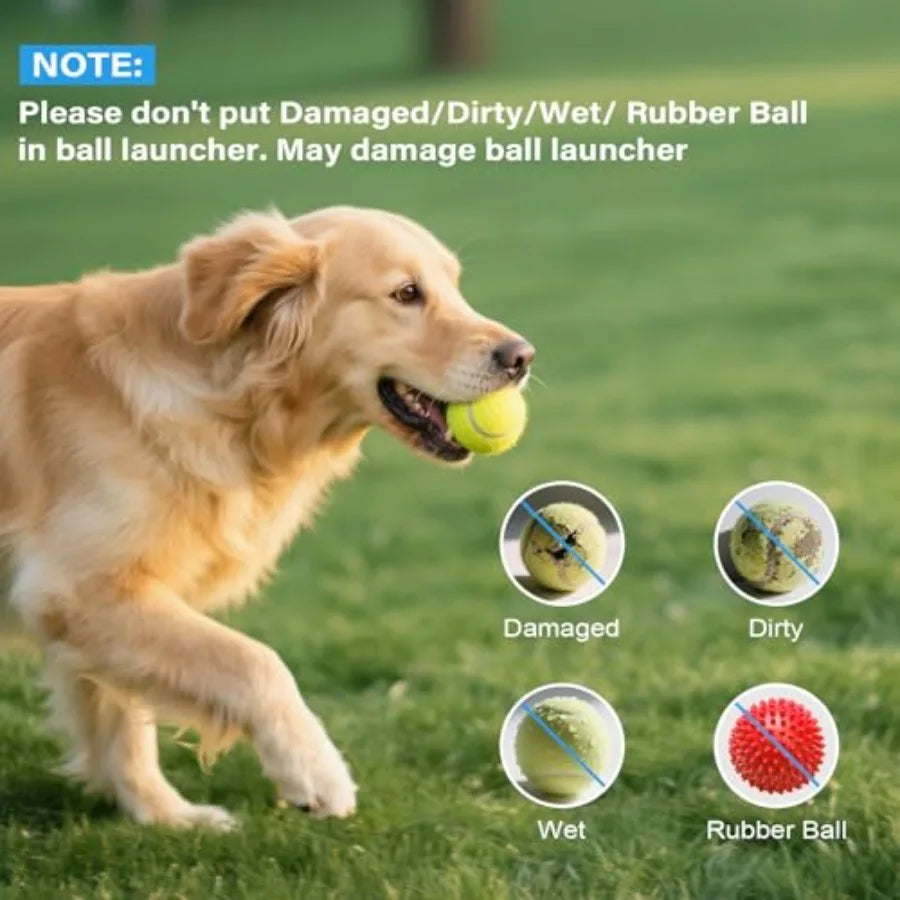 Automatic Ball Launcher for Dogs: