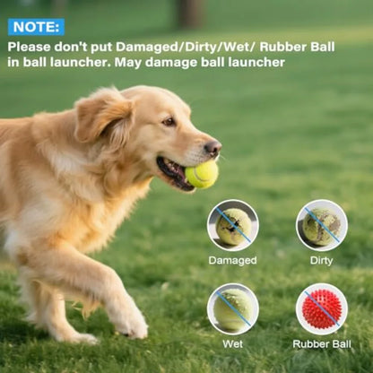 Automatic Ball Launcher for Dogs: