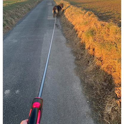 5m 8m 50kg Dog Leash Retractable