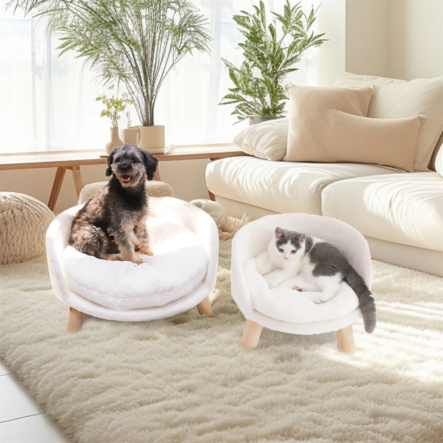 Pet Raised Sofa Bed Chair