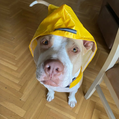 Reflective Waterproof Dog Raincoat